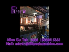 Máquina automática de sopro de garrafas de cinco galões